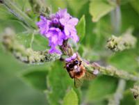 View photo in a new window