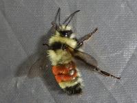 View photo in a new window