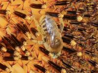 View photo in a new window