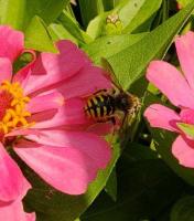 View photo in a new window