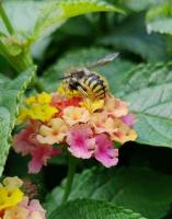 View photo in a new window