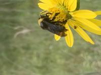 View photo in a new window