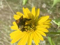 View photo in a new window