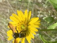 View photo in a new window