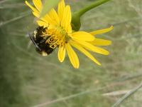 View photo in a new window