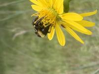 View photo in a new window