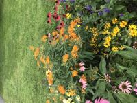 View photo in a new window