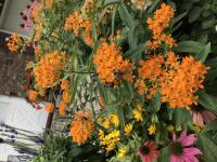 View photo in a new window