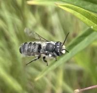 View photo in a new window