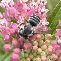 View photo in a new window