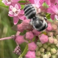 View photo in a new window