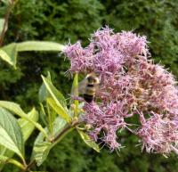 View photo in a new window