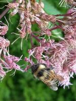 View photo in a new window