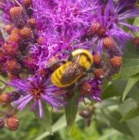 View photo in a new window