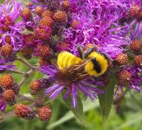 View photo in a new window