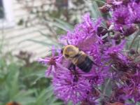 View photo in a new window