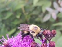 View photo in a new window