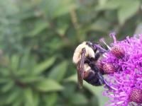 View photo in a new window