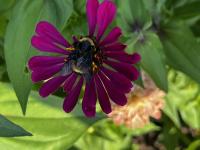 View photo in a new window