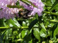 View photo in a new window