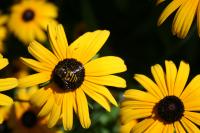 View photo in a new window