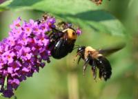 View photo in a new window