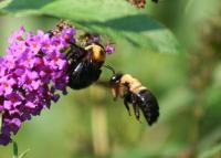 View photo in a new window