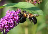 View photo in a new window