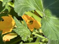 View photo in a new window