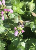 View photo in a new window