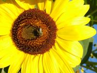 View photo in a new window