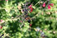 View photo in a new window