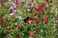 View photo in a new window