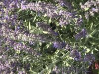 View photo in a new window