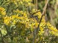 View photo in a new window