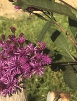 View photo in a new window