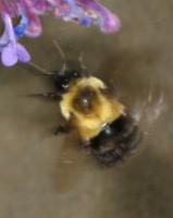 View photo in a new window