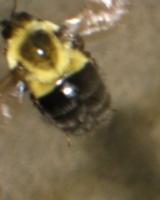 View photo in a new window