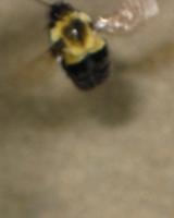 View photo in a new window