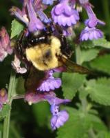 View photo in a new window