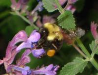 View photo in a new window