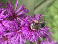 View photo in a new window