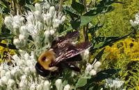 View photo in a new window