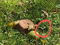 View photo in a new window