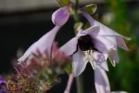 View photo in a new window