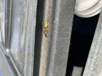 View photo in a new window