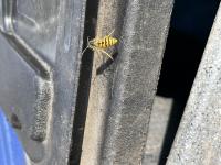 View photo in a new window