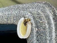 View photo in a new window