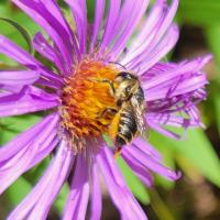 View photo in a new window