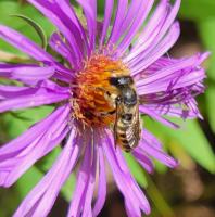 View photo in a new window